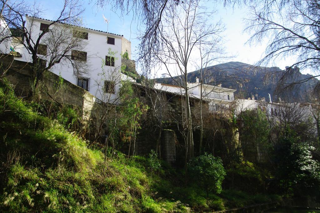 Гостевой дом Vivienda Rural Rio Cerezuelo Казорла Номер фото