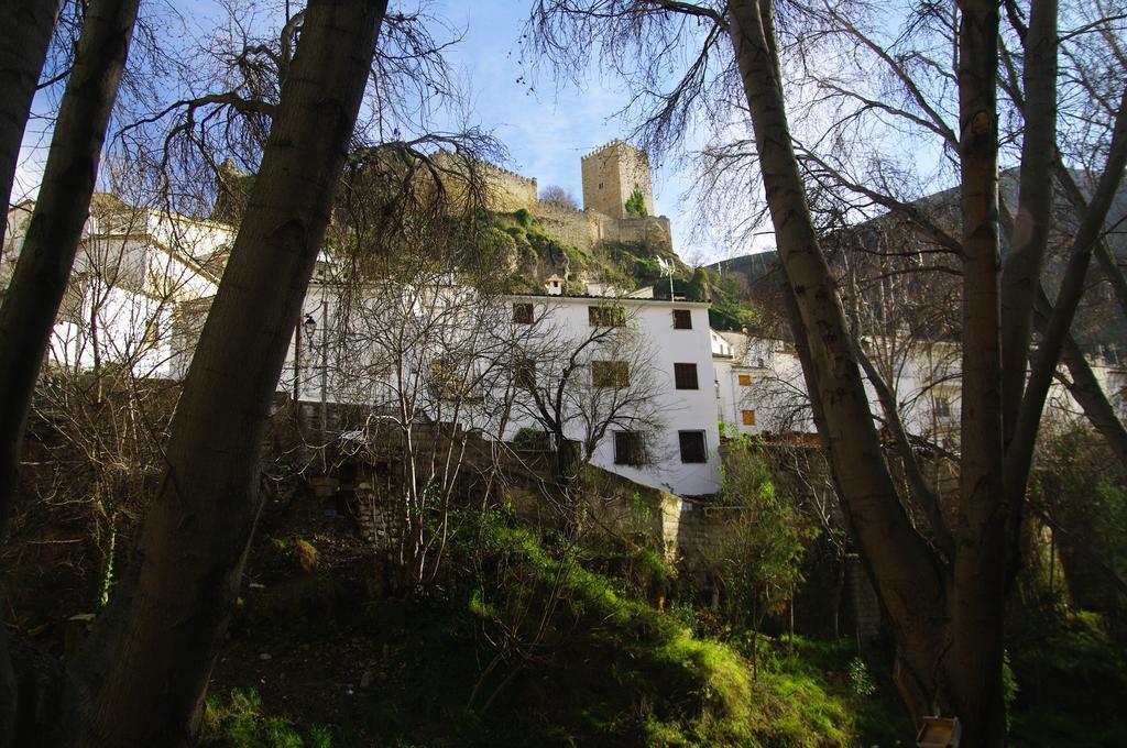 Гостевой дом Vivienda Rural Rio Cerezuelo Казорла Номер фото